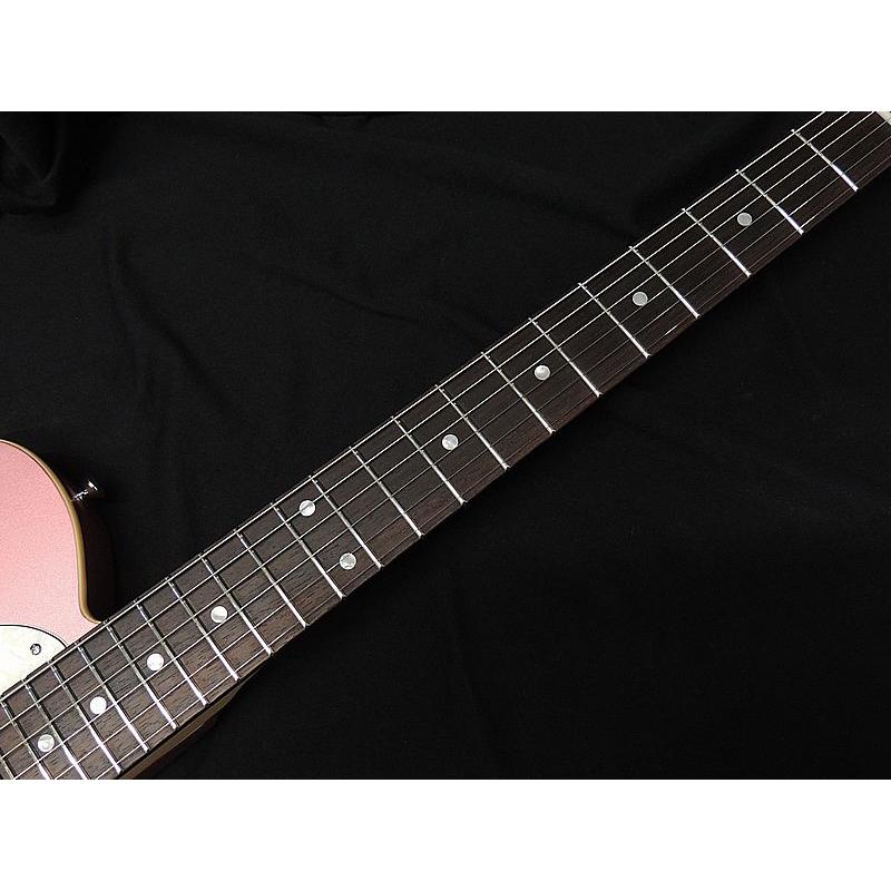 SCHECTER PS-PT-N RPM R シェクター テレキャスタータイプ SCHECTER PS-PT-N RPM R シェクター テレキャスタータイプ