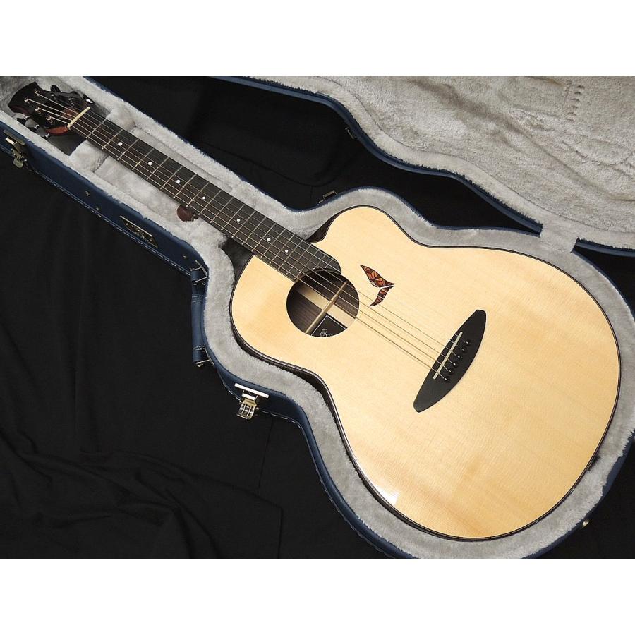 aNueNue aNN-LS700 杉田健司デザイン オール単板 LS Acoustic Future