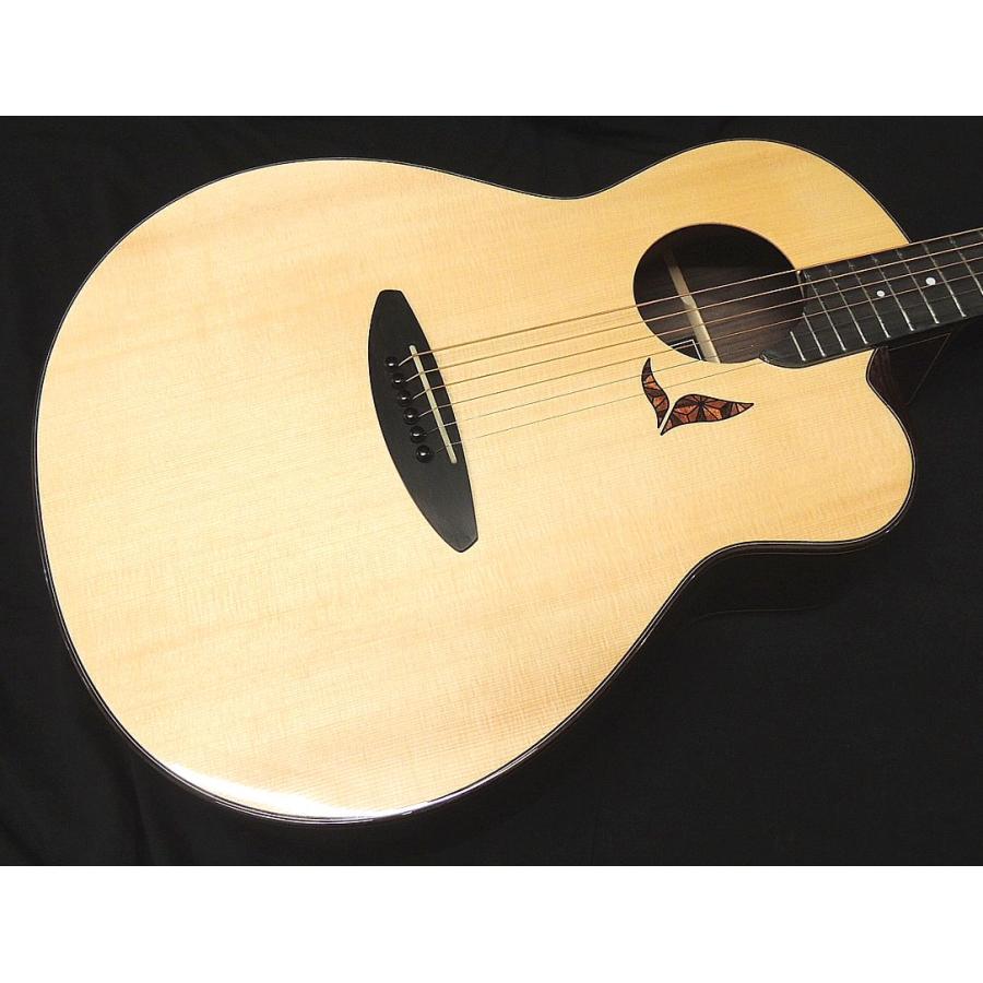 aNueNue aNN-LS700 杉田健司デザイン オール単板 LS Acoustic Future