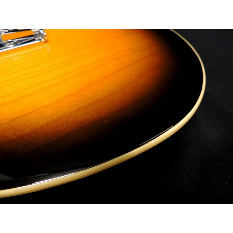 SCHECTER SCHECTER PS-PT-AL-RH/2TS/R リバースヘッド シェクター