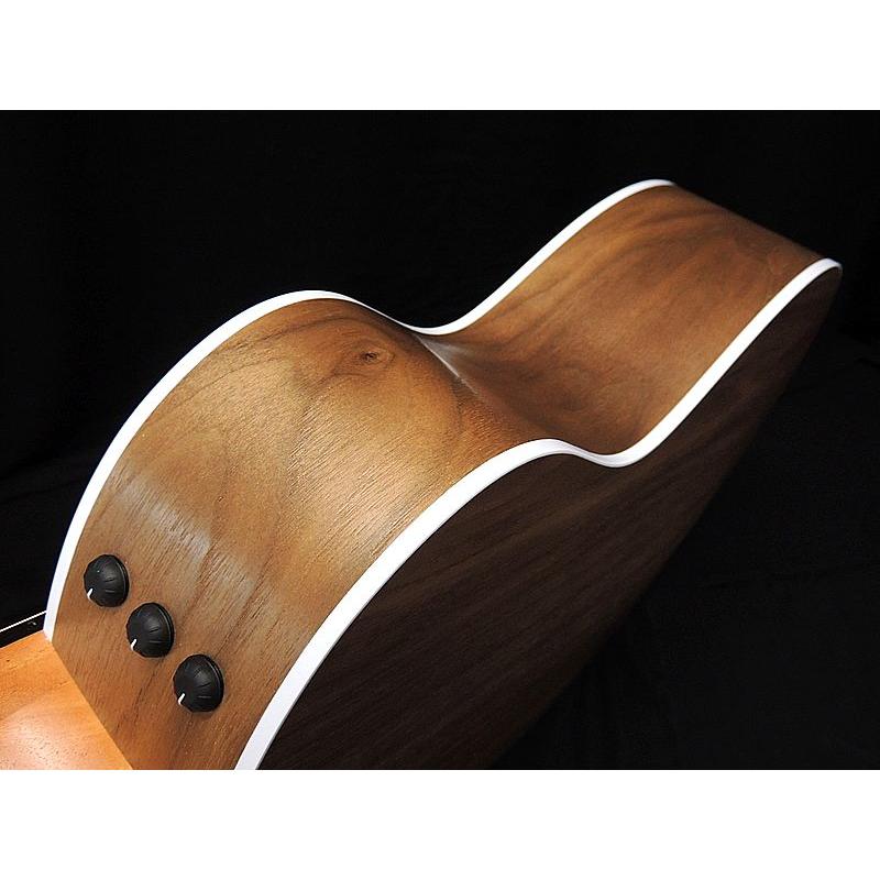 Taylor Taylor 214ce Walnut テイラー エレクトリック