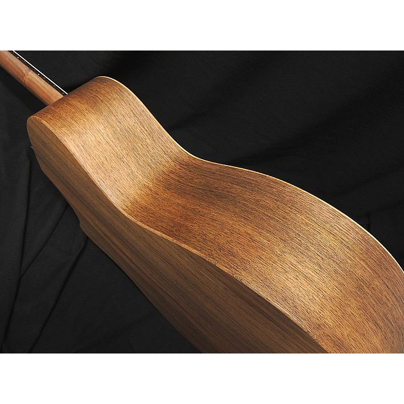 Taylor AD14ce-SB LTD テイラー グランドオーディトリアム エレアコ エレクトリック アコースティックギター 50周年記念モデルの画像
