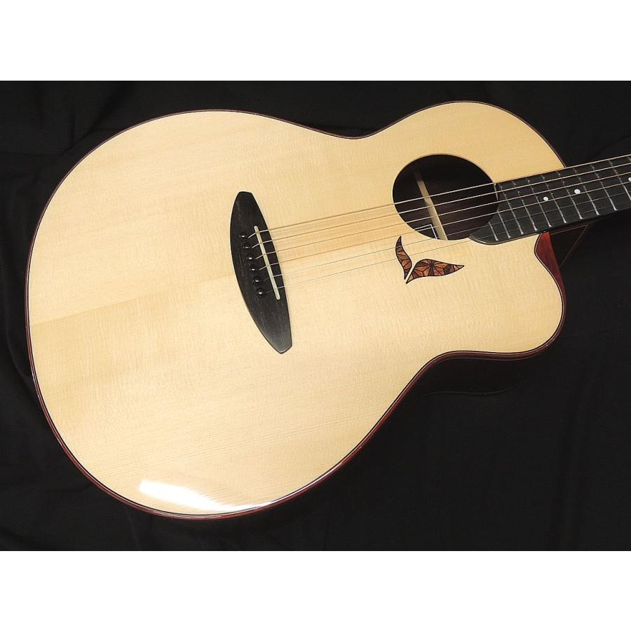 aNueNue aNN-LS800 LS Acoustic Future Series Design by Luthier
