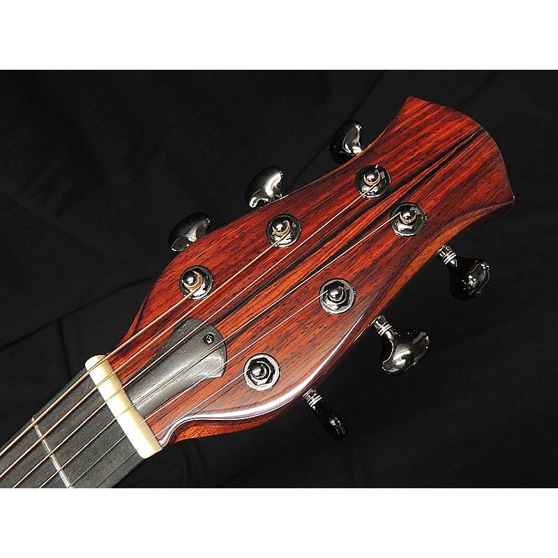 aNueNue aNN-LS800 LS Acoustic Future Series Design by Luthier