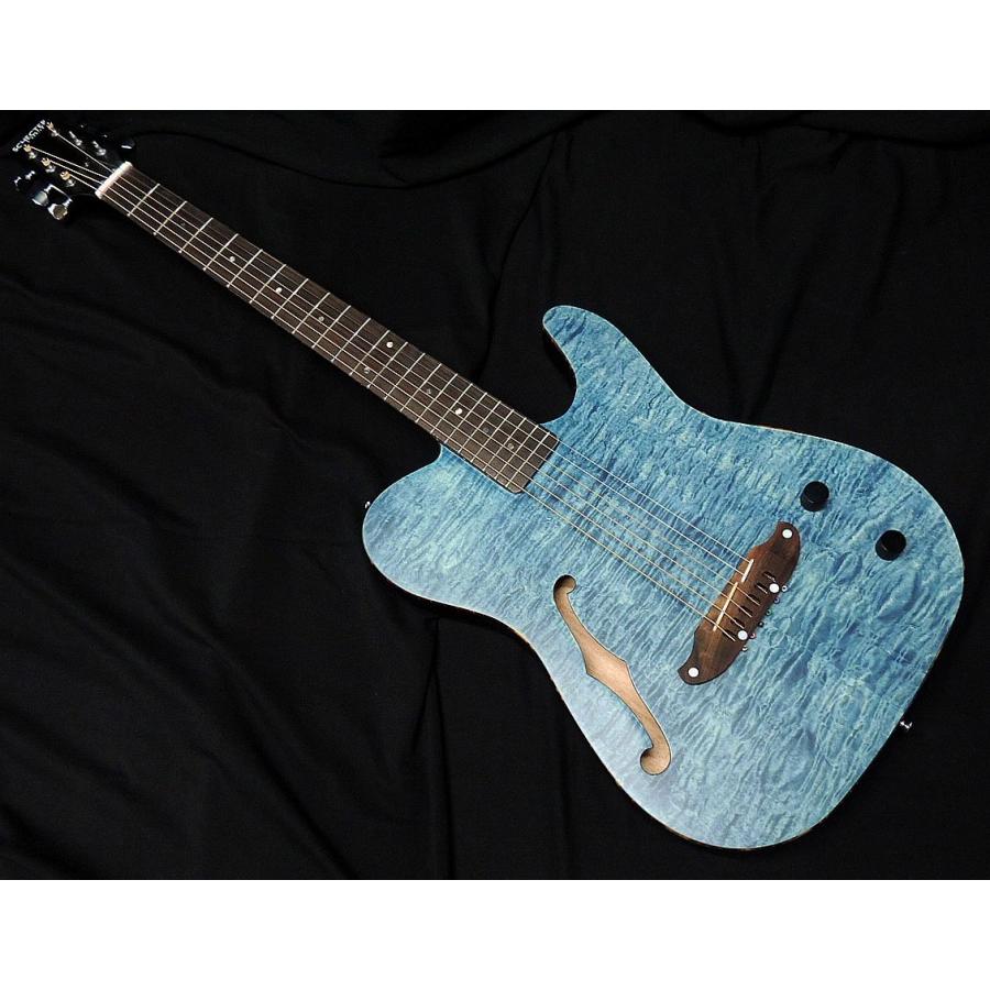 SCHECTER SCHECTER OL-FL-P SSTB シェクター 薄胴 Fホール エレアコ