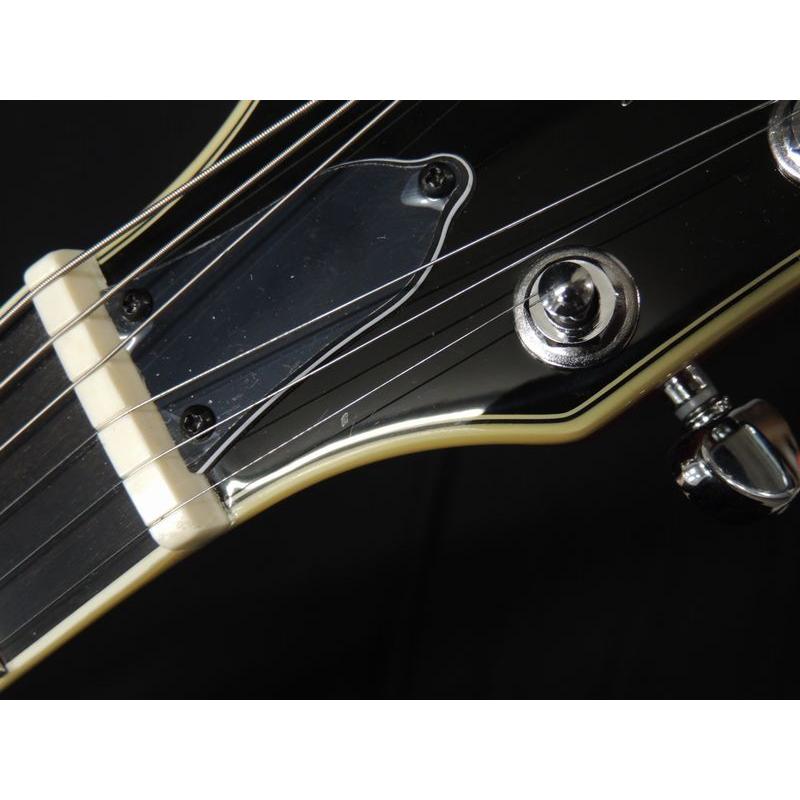 Sire Larry Carlton H7T CS サイアー ラリーカールトン セミアコ 335