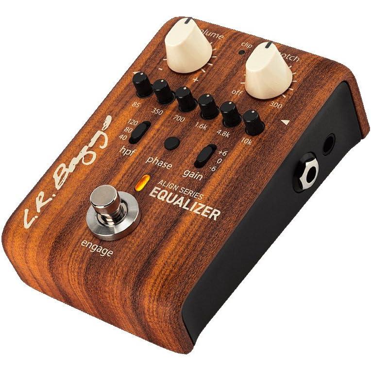 L.R.Baggs AEG-1 SB サンバースト・シトカ・スプルース LRバッグス 薄胴 アコースティックギター エレアコ Equalizer エフェクター付の画像