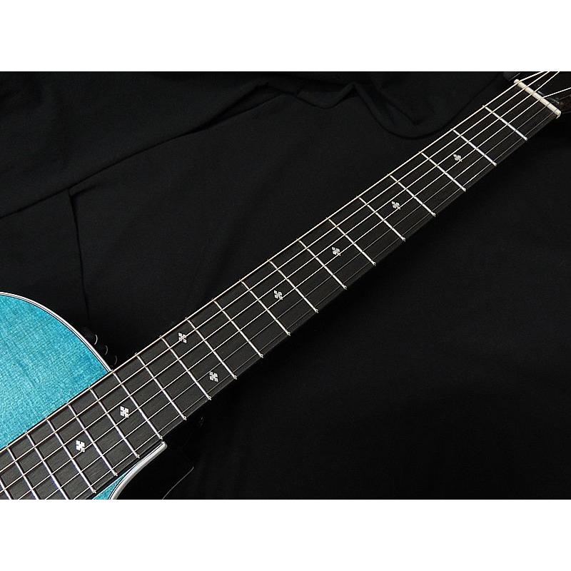 Taylor Taylor 214ce Plus Special Edition, Trans Blue テイラー