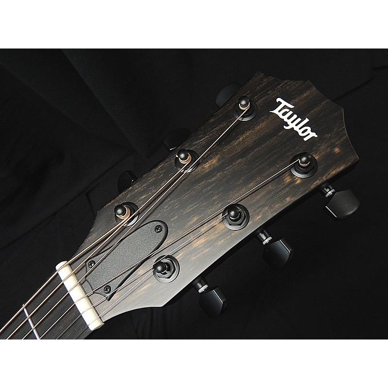 Taylor Taylor 214ce Plus Special Edition, Trans Blue テイラー