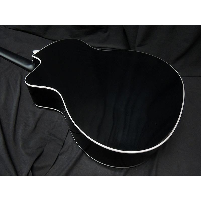 Taylor Taylor 214ce Plus Special Edition, Trans Blue テイラー