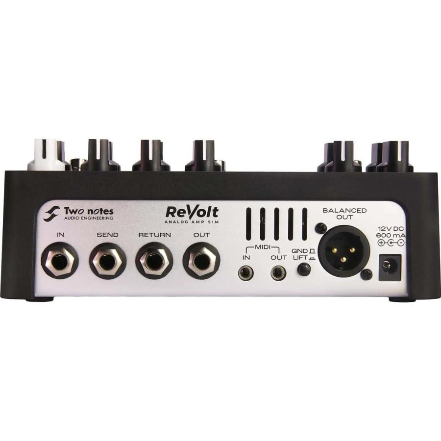 Two notes Revolt Bass TNREVOLTB トゥーノーツ ベース用 エフェクター 真空管プリアンプ・DI&キャビネットシミュレーション_4