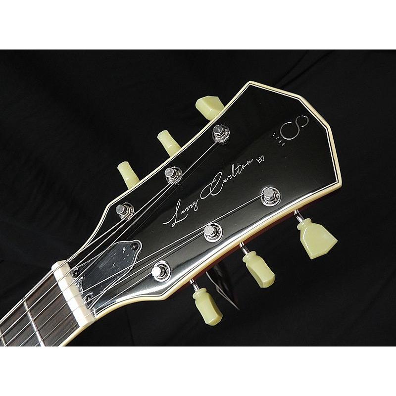 Sire Larry Carlton H7F TB サイアー ラリーカールトン フルアコタイプ