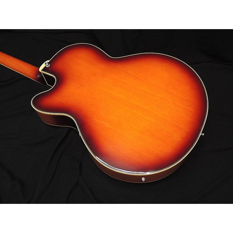 Sire Larry Carlton H7F TB サイアー ラリーカールトン フルアコタイプ