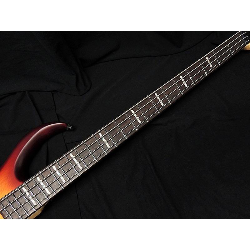 Sire Marcus Miller M6 4-String Headless TS サイアー マーカスミラー