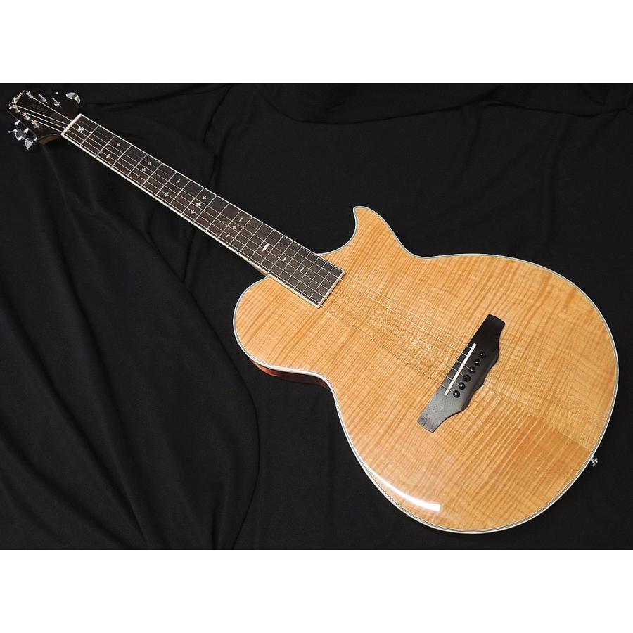 ARIA（アリア） ARIA APE-100 N 薄胴 サイドサウンドホール エレアコ