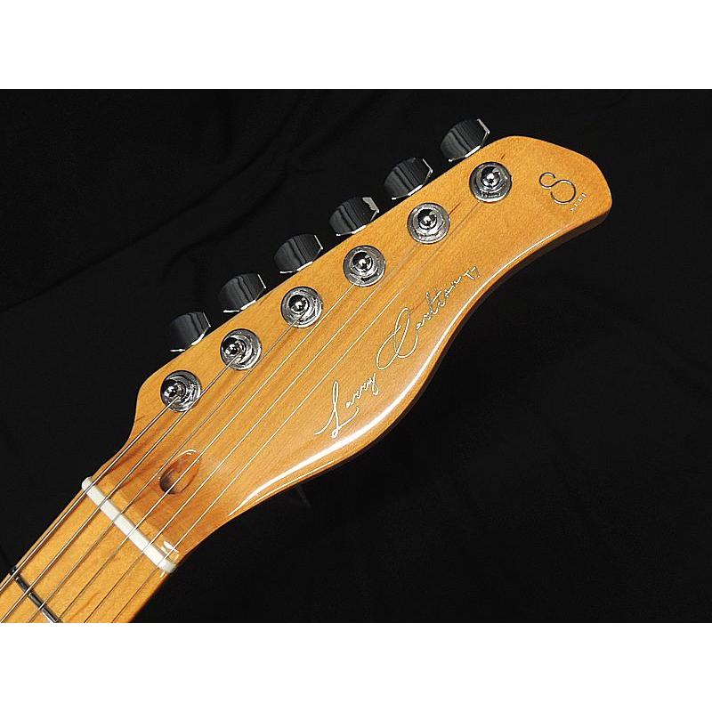 Sire Larry Carlton T7TV 3TS サイアー ラリーカールトン