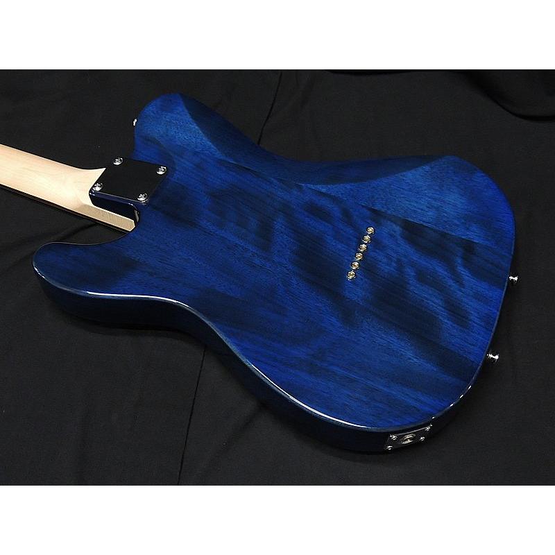 SCHECTER SCHECTER OL-PT-TH STB See Thru Blue シェクター