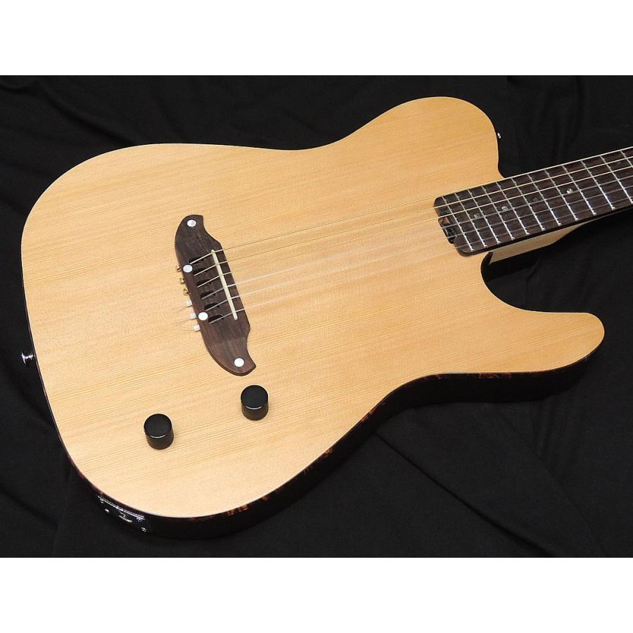 SCHECTER SCHECTER OL-FL-N-2 SNTL ナイロン弦 シェクター 薄胴