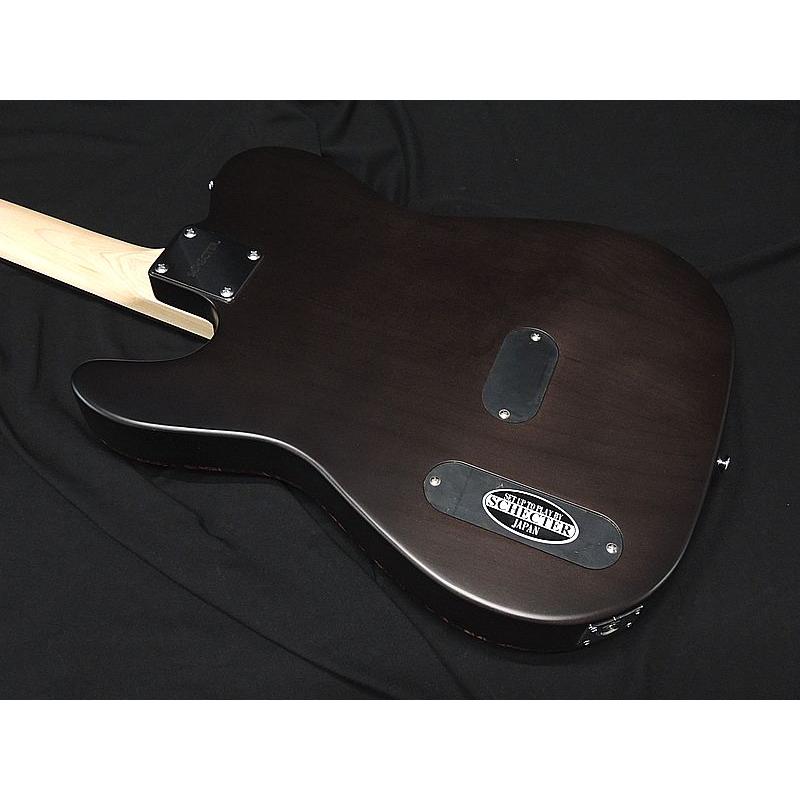 SCHECTER SCHECTER OL-FL-N-2 SNTL ナイロン弦 シェクター 薄胴
