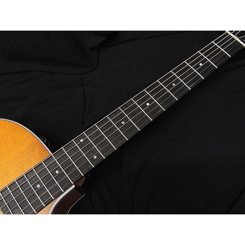 Taylor Taylor 214CE RW Honey Burst Special Edition テイラー