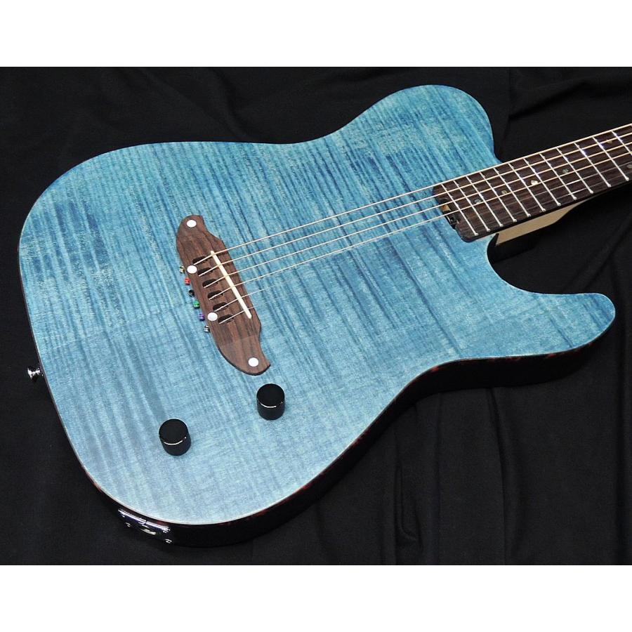 SCHECTER SCHECTER OL-FL-FM-2 SSTB シェクター 薄胴 アコースティック