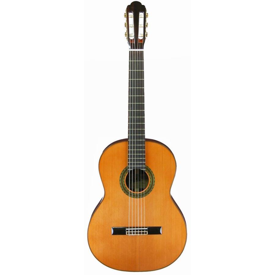 ARIA A-140C アリア クラシックギター ナイロン弦 セダー ローズウッド オール単板 送料無料の画像