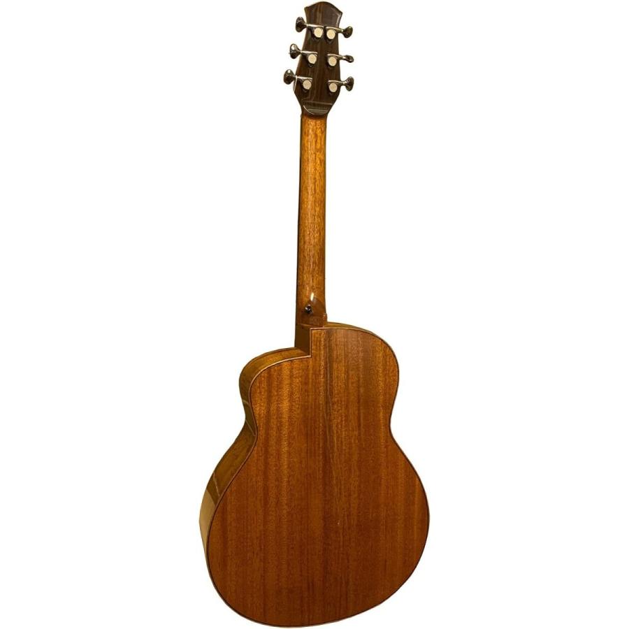 aNueNue aNN-LS500 LS Acoustic Future Series Design by Luthier