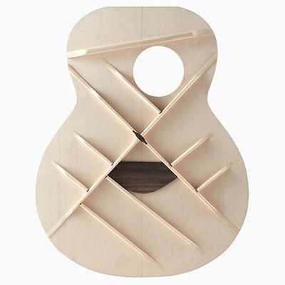 aNueNue aNN-LS500 LS Acoustic Future Series Design by Luthier