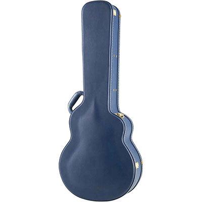 aNueNue aNN-LS500 LS Acoustic Future Series Design by Luthier
