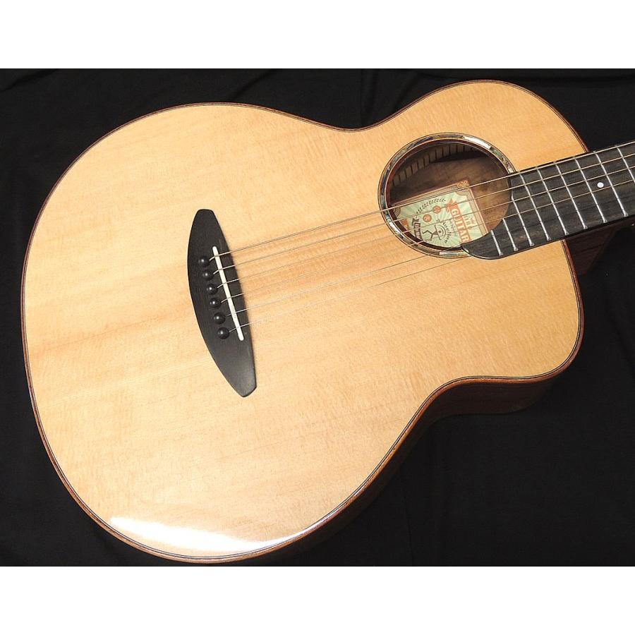 aNueNue BIRDGUITAR aNN-M52 Acoustic Guitar アコースティックギター