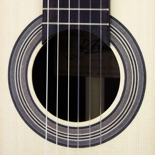 Aria エレクトリックアコースティックギター カバー、ピック付き 楽天市場】ギターケース エレキギター ケース ARIA ABC-300EG ギター