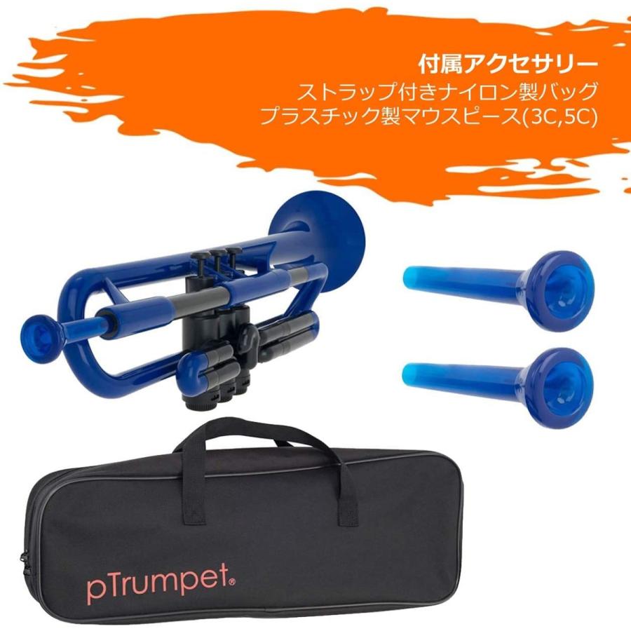 pInstruments ピーインストゥルメンツ プラスチック製管楽器