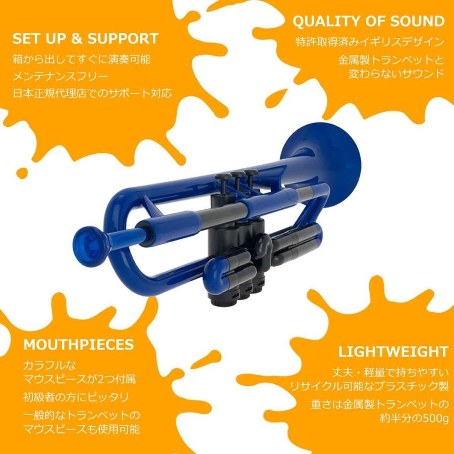 pInstruments ピーインストゥルメンツ プラスチック製管楽器