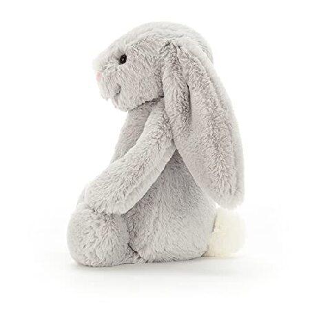 Lapin moyen gris timide 12_2