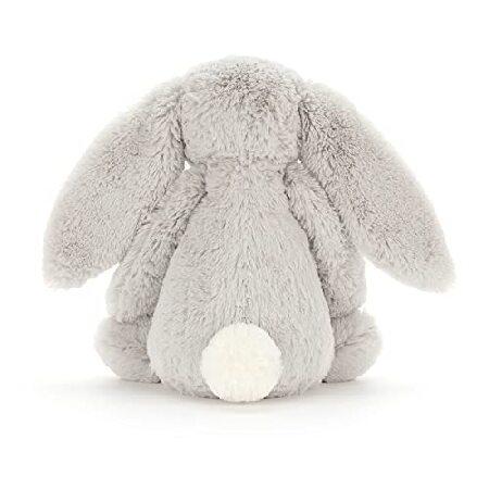 Lapin moyen gris timide 12_3