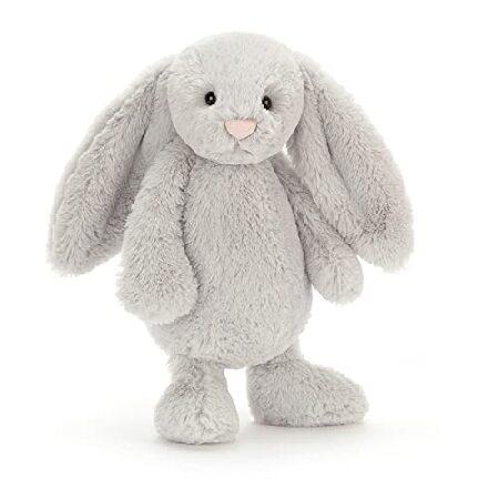 Lapin moyen gris timide 12_4