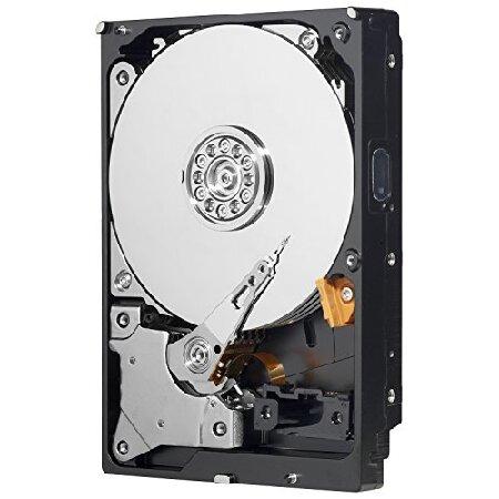 WD Caviar Green 1TB 64MB Cache_2