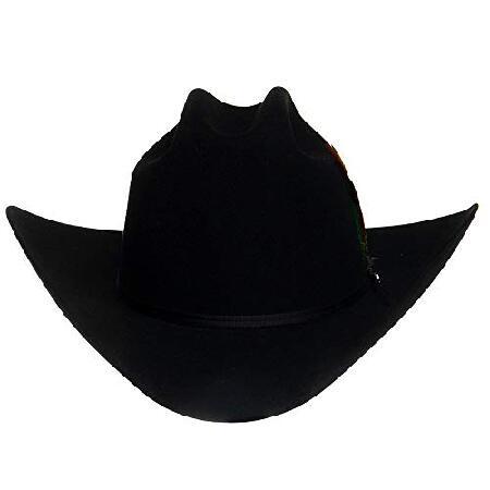 Stetson HAT メンズ US サイズ: 738 カラー: ブラックの画像