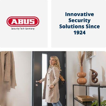 ABUS 08492 Big KeyGarage 787 Padlock for Wall Mounting - Black/ Silver