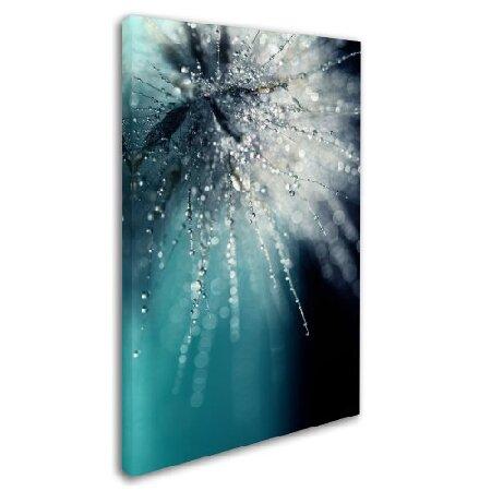 Beata Czyzowska Young による商標のファインアート 朝のソナタ アートワーク 22 by 32-Inch BC0097-C2232GGの画像