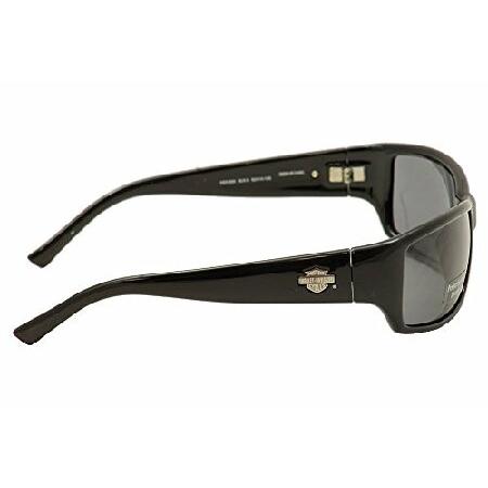 Harley Davidson（ハーレー・ダビッドソン） メンズ サングラス HDX