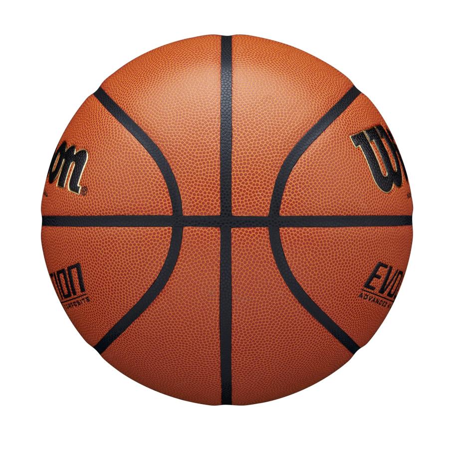 トップゲーム WILSON Evolution Basketball，Brown