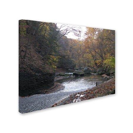 トレードマークファインアートワーク 18x24 MF109-C1824GGの画像