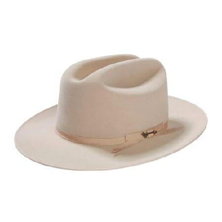 Stetson HAT メンズ カラー: シルバーの画像