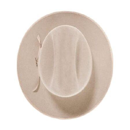 Stetson HAT メンズ カラー: シルバーの画像