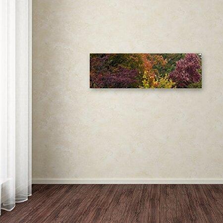 Kurt Shaffer トレードマーク ファインアート 秋の多様性 壁装飾 10\" x 32\" KS01024-C1032GGの画像