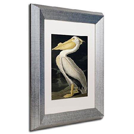 John James Audubon Trademark Fine Art American White Pelicanシルバーフレーム 11x14-Inch ホワイト BL01258-S1114MFの画像