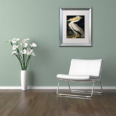 John James Audubon Trademark Fine Art American White Pelicanシルバーフレーム 11x14-Inch ホワイト BL01258-S1114MFの画像