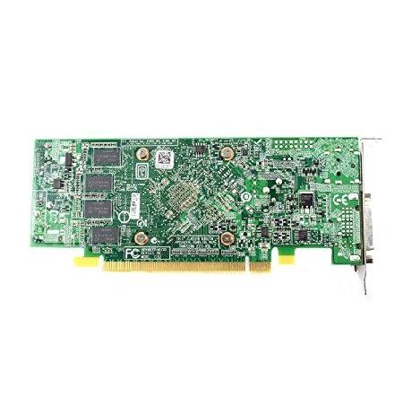 AMD AMD Radeon HD 8570 1GB DDR3 PCIe x16 DVI/ DP グラフィックス