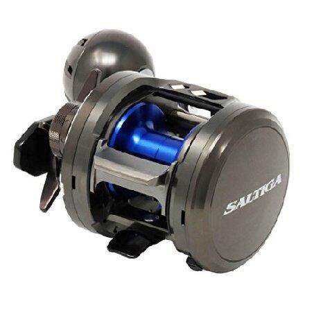 ダイワ ダイワ(DAIWA) ベイトリール 17 ソルティガBJ 200HL(2017モデル